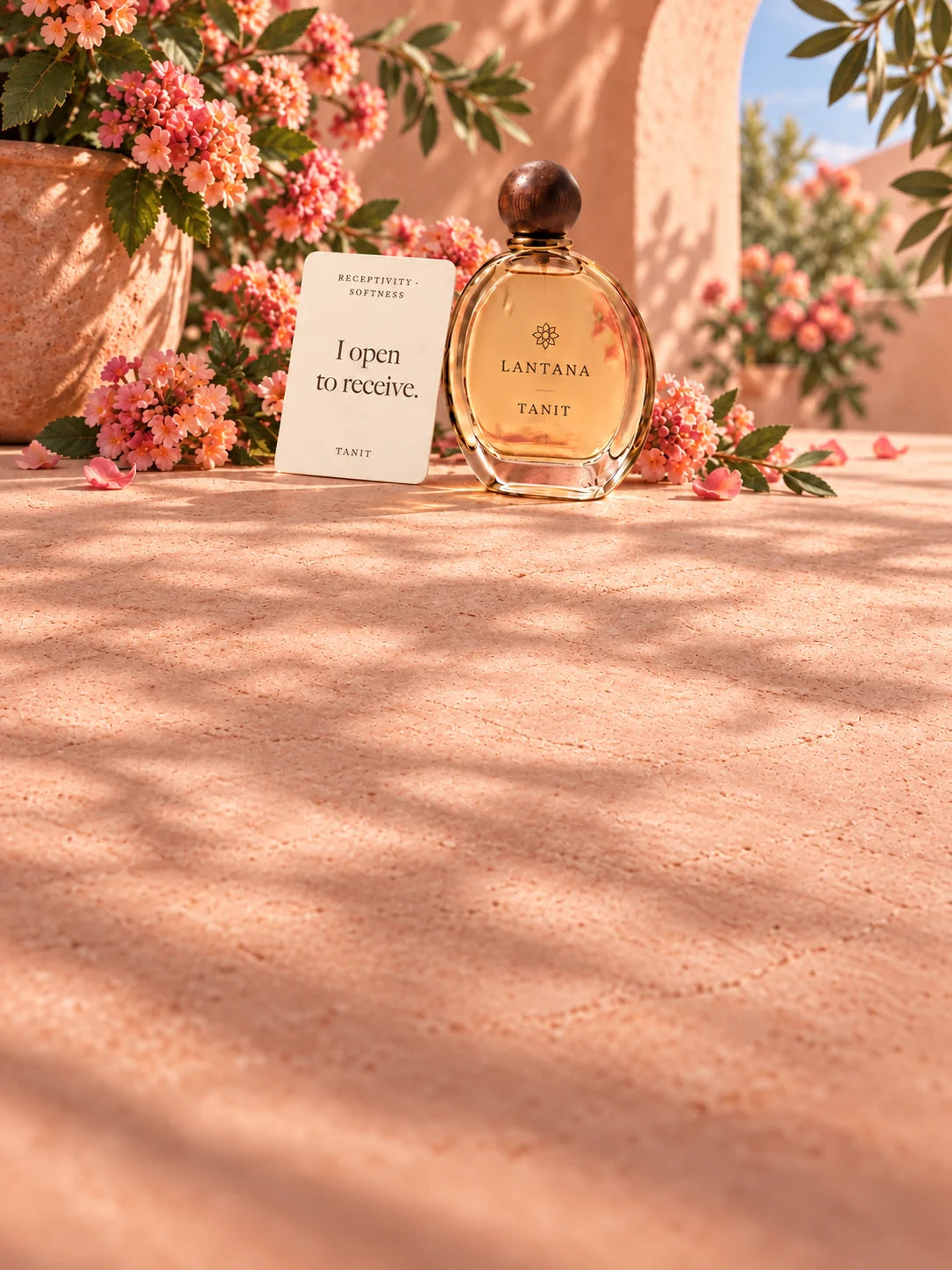 TANIT perfume bottle and its Receptivity and Softness intention card with coral lantana in a peach plaster courtyard.