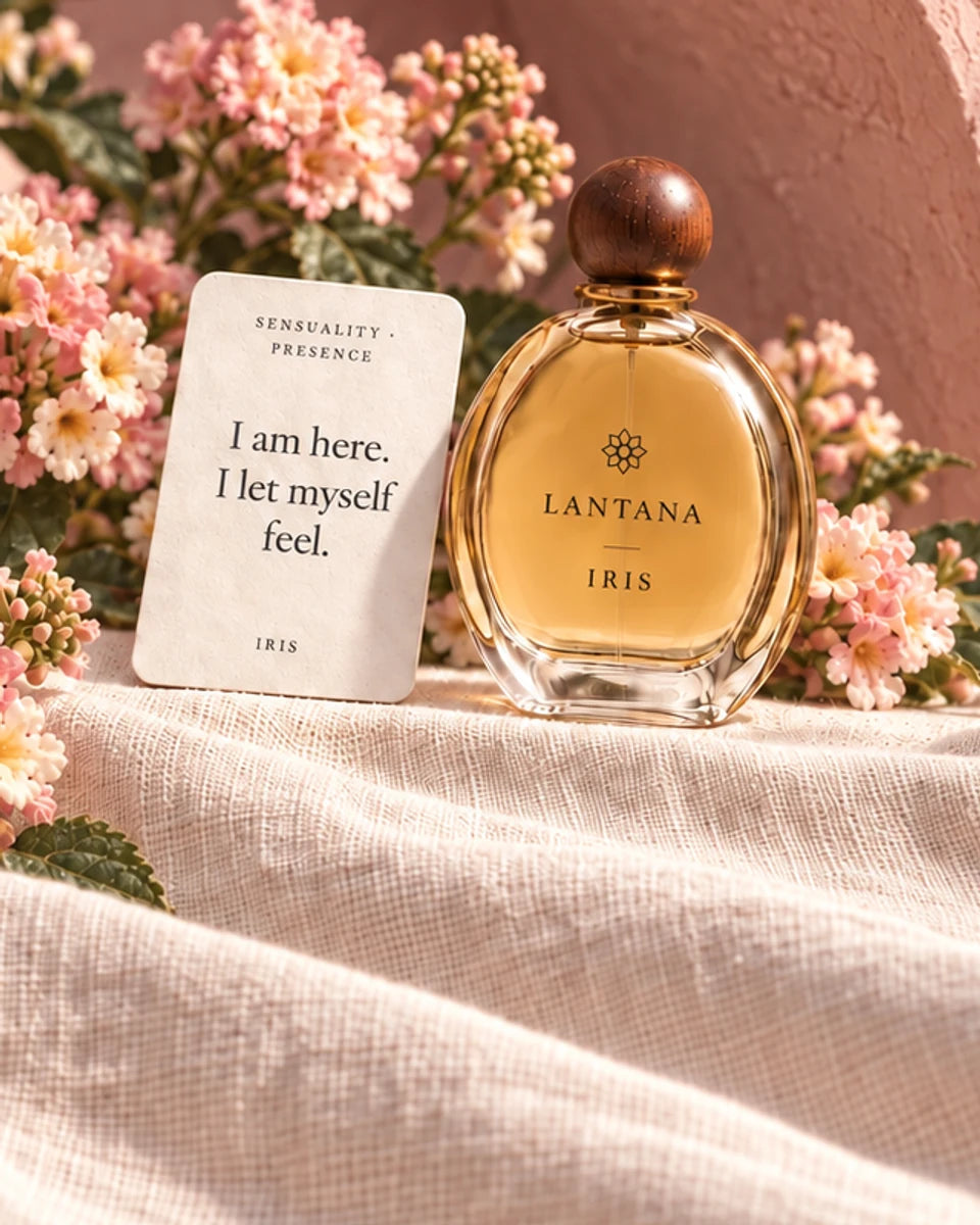 IRIS perfume bottle and its Sensuality and Presence intention card with blush lantana and softly draped ivory linen in a pink plaster alcove.